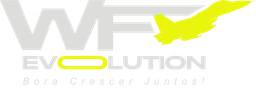 WFE Evolution — início